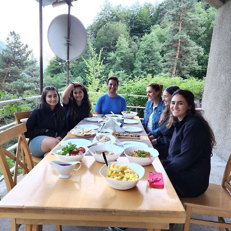 Guesthouse Gama In Khevsureti Roshka 外观 照片
