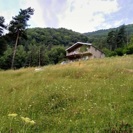 Guesthouse Gama In Khevsureti Roshka 外观 照片