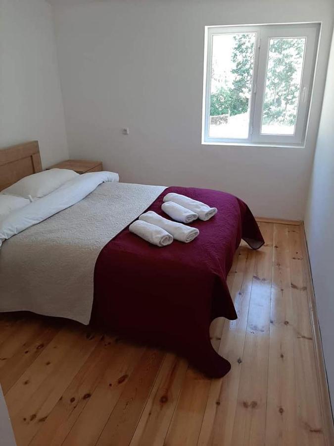 Guesthouse Gama In Khevsureti Roshka 外观 照片