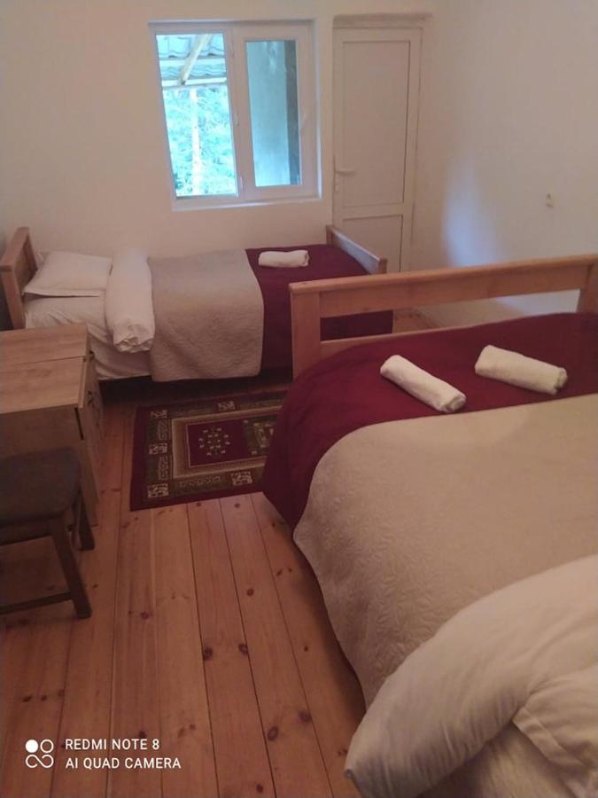 Guesthouse Gama In Khevsureti Roshka 外观 照片