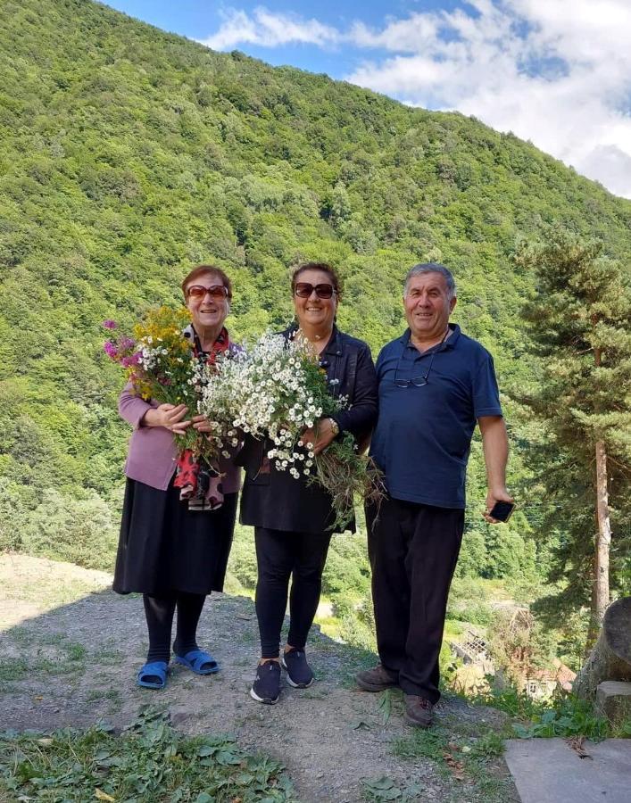 Guesthouse Gama In Khevsureti Roshka 外观 照片