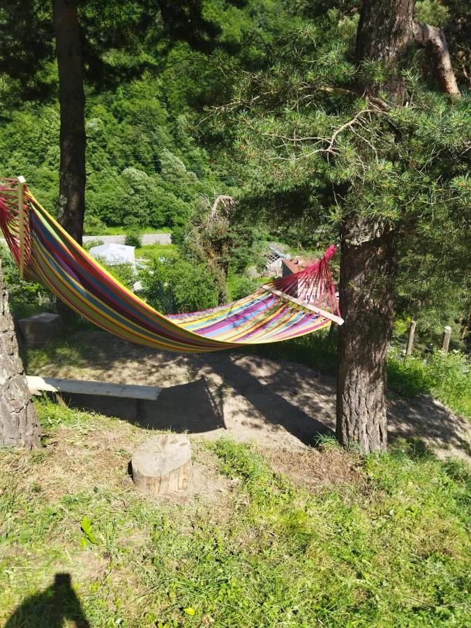 Guesthouse Gama In Khevsureti Roshka 外观 照片