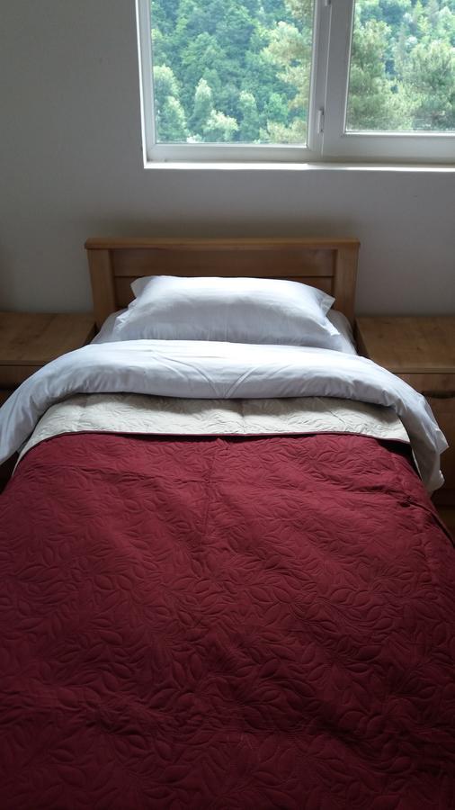 Guesthouse Gama In Khevsureti Roshka 外观 照片