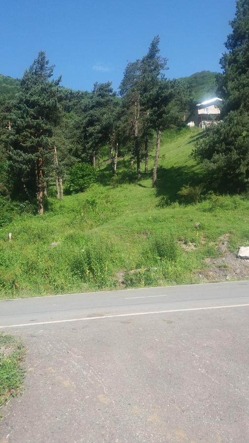 Guesthouse Gama In Khevsureti Roshka 外观 照片
