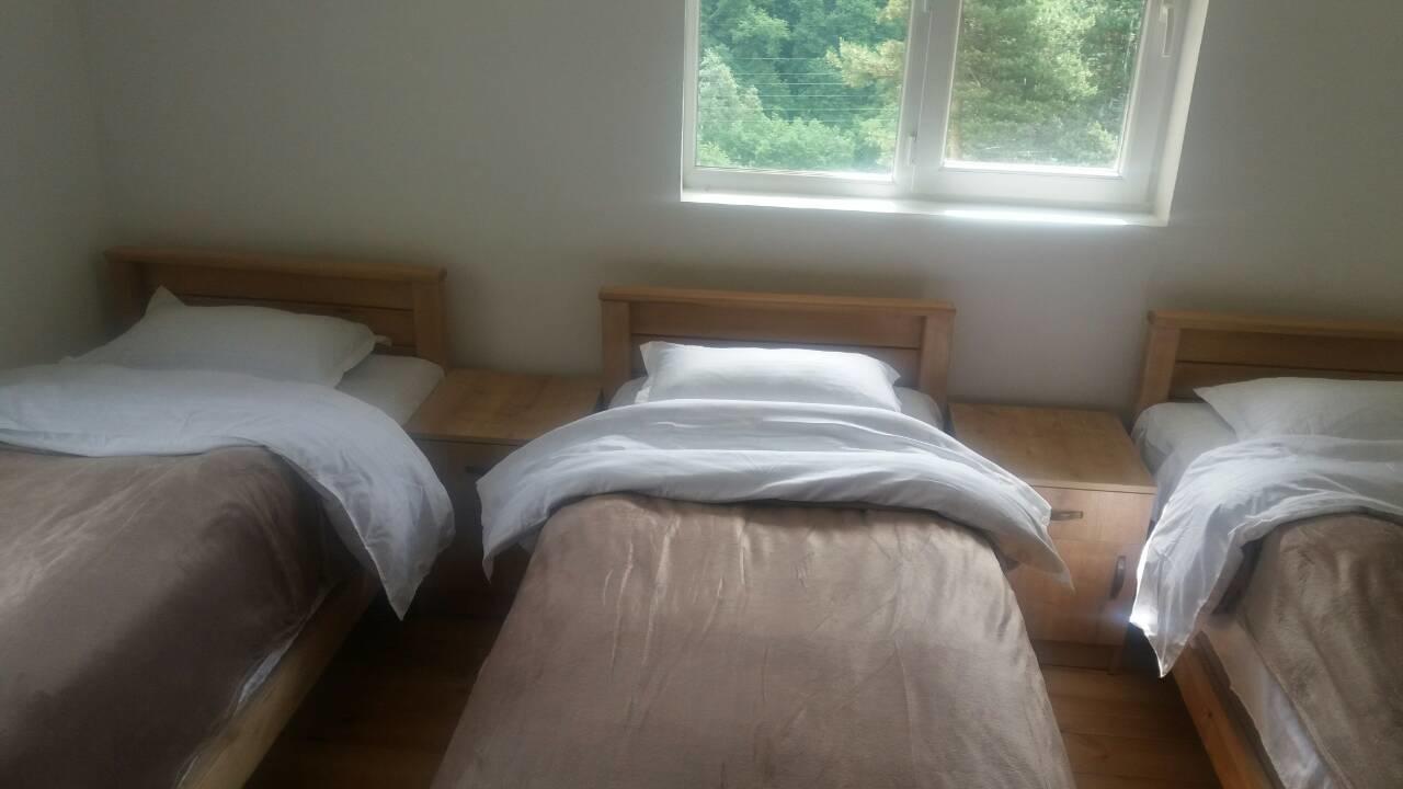 Guesthouse Gama In Khevsureti Roshka 外观 照片