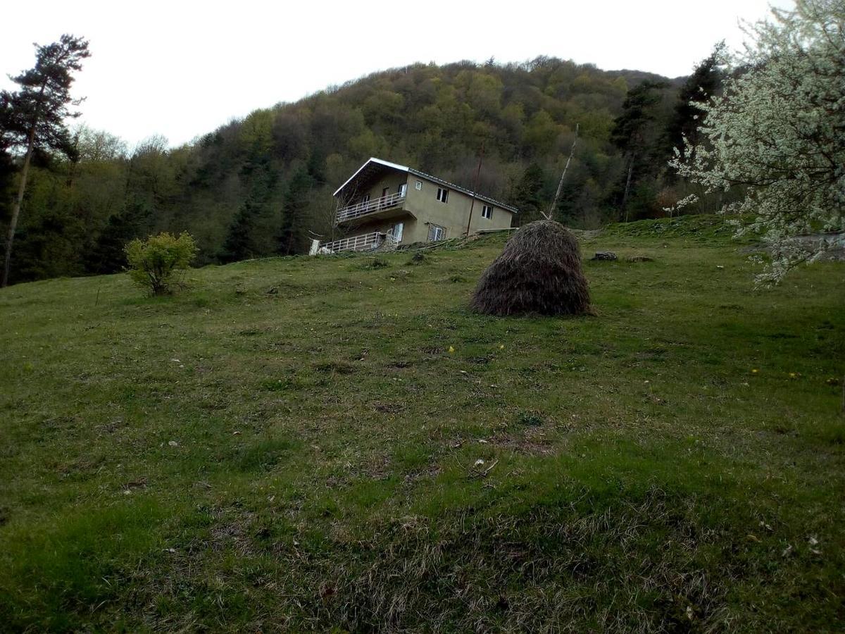 Guesthouse Gama In Khevsureti Roshka 外观 照片