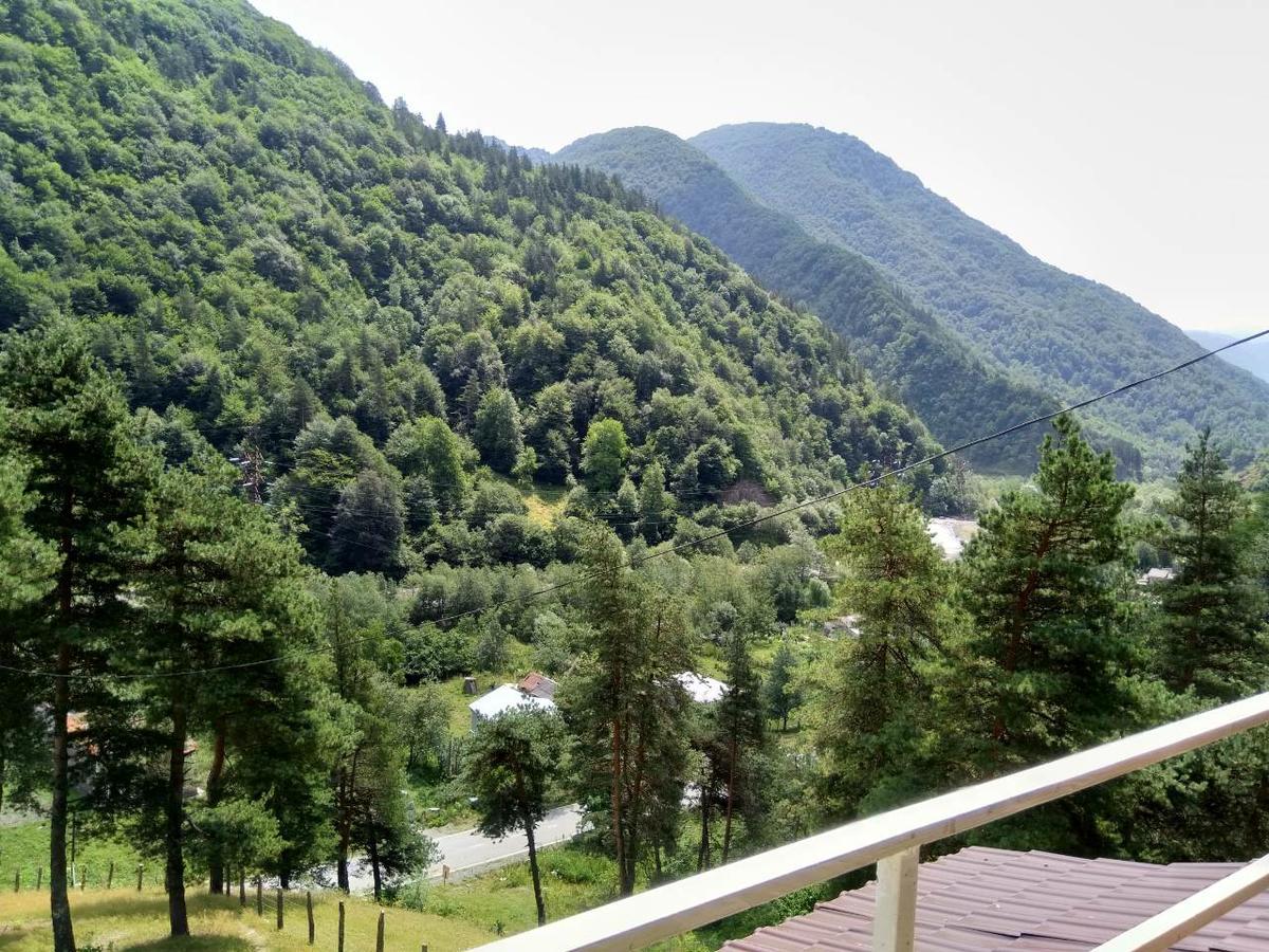 Guesthouse Gama In Khevsureti Roshka 外观 照片