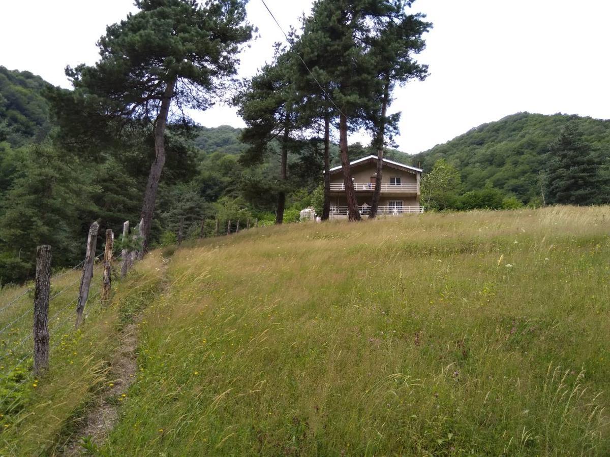 Guesthouse Gama In Khevsureti Roshka 外观 照片