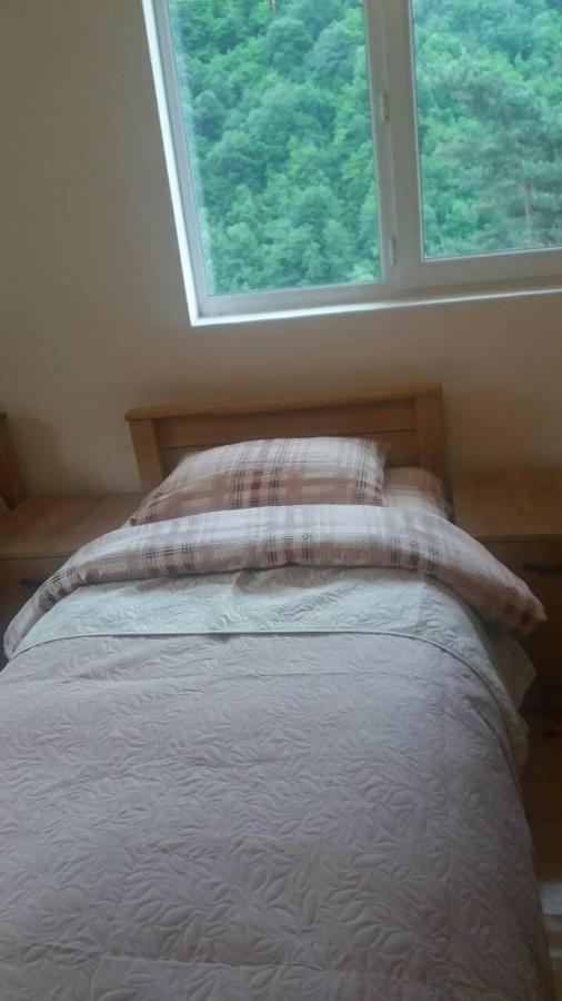 Guesthouse Gama In Khevsureti Roshka 外观 照片